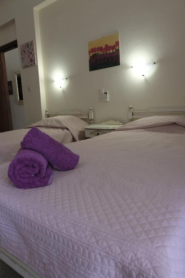 Taxiarchis Apartments Skiathos Town Ngoại thất bức ảnh