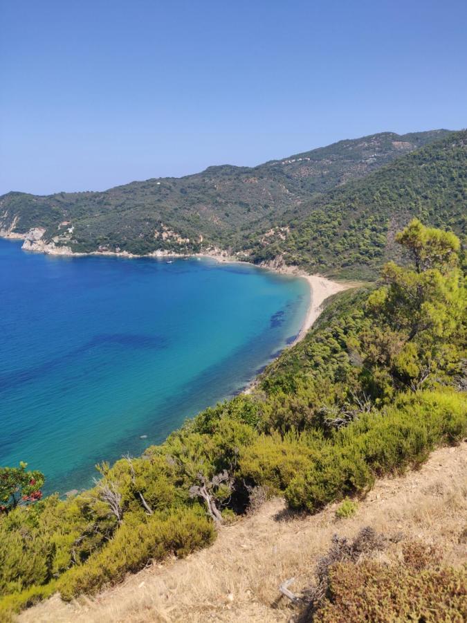 Taxiarchis Apartments Skiathos Town Ngoại thất bức ảnh