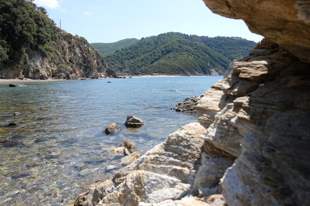 Taxiarchis Apartments Skiathos Town Ngoại thất bức ảnh